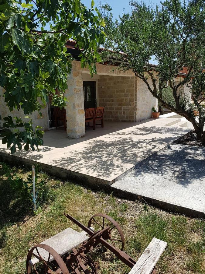 Apartmani Morovi Dvori ดราเก ภายนอก รูปภาพ